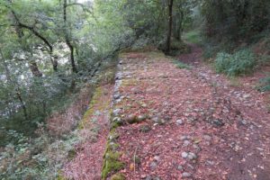 Clermont Le Fort Gabions 2024