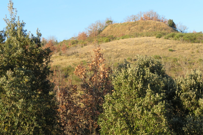 Un tumulus en haut d'une colline